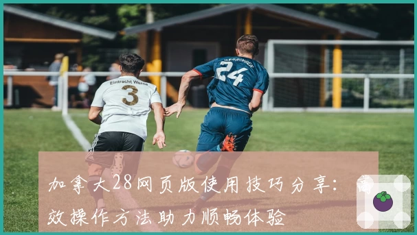 加拿大28网页版使用技巧分享：高效操作方法助力顺畅体验