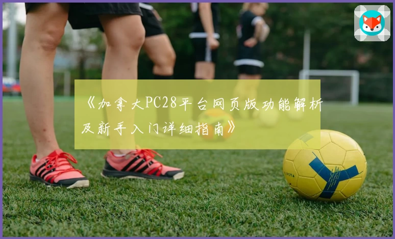 《加拿大PC28平台网页版功能解析及新手入门详细指南》