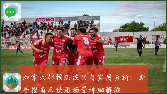 加拿大28预测技巧与实用分析：新手指南及使用场景详细解读