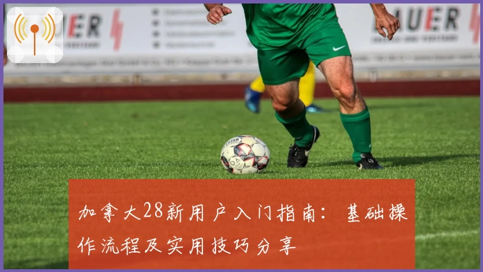 加拿大28新用户入门指南：基础操作流程及实用技巧分享