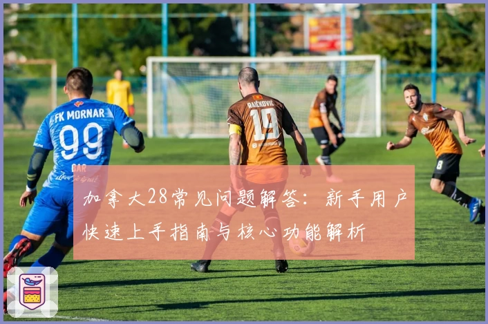 加拿大28常见问题解答：新手用户快速上手指南与核心功能解析