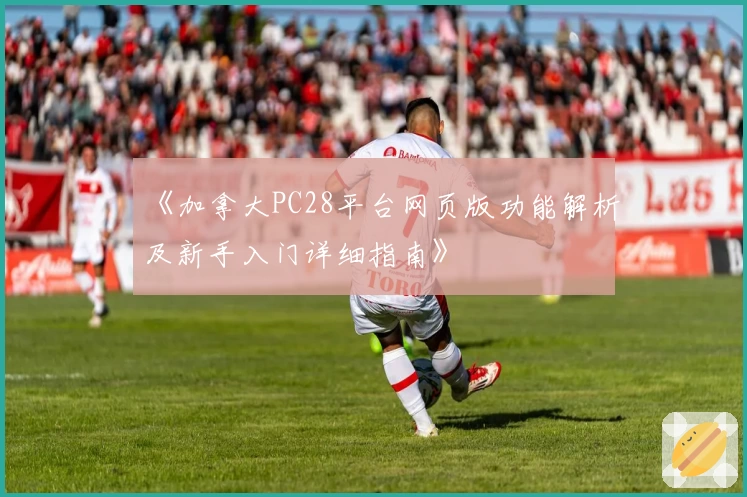 《加拿大PC28平台网页版功能解析及新手入门详细指南》