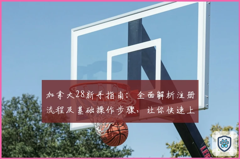 加拿大28新手指南：全面解析注册流程及基础操作步骤，让你快速上手游戏体验