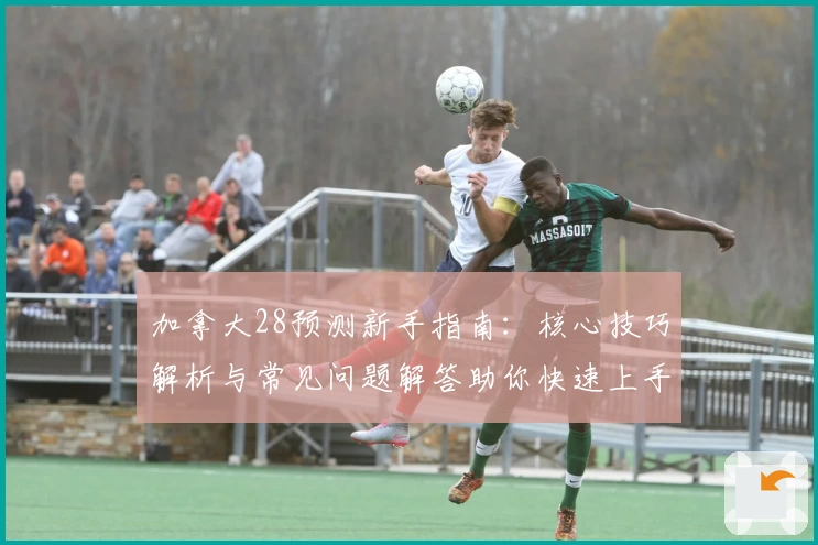 加拿大28预测新手指南：核心技巧解析与常见问题解答助你快速上手