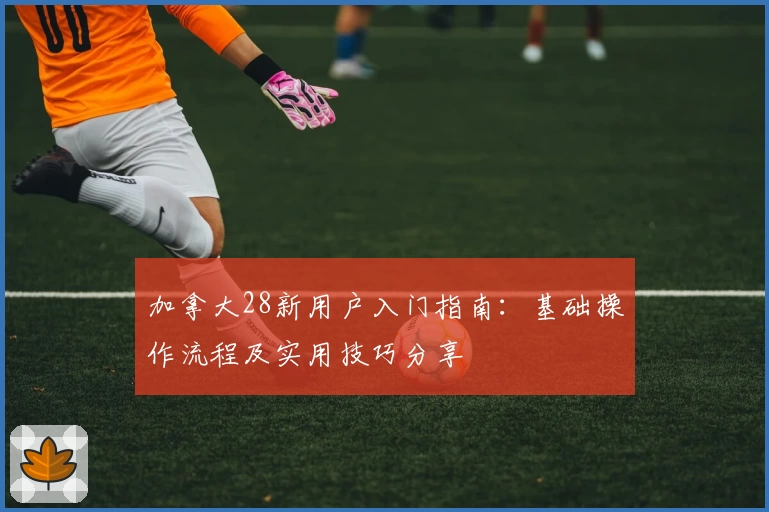 加拿大28新用户入门指南：基础操作流程及实用技巧分享