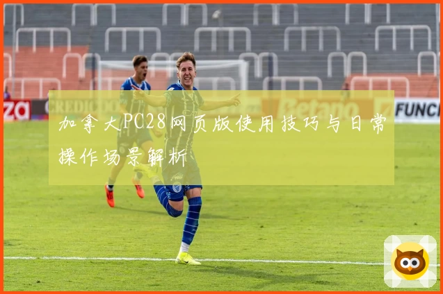 加拿大PC28网页版使用技巧与日常操作场景解析