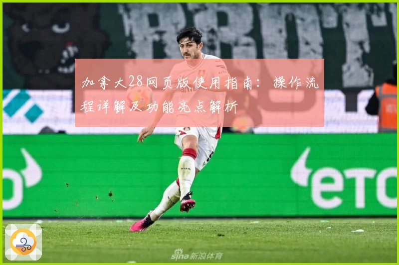 加拿大28网页版使用指南：操作流程详解及功能亮点解析