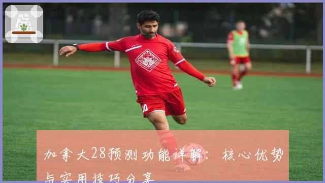 加拿大28预测功能详解：核心优势与实用技巧分享