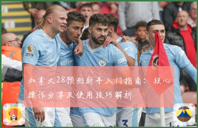 加拿大28预测新手入门指南：核心操作分享及使用技巧解析