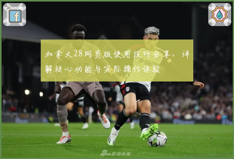 加拿大28网页版使用技巧分享，详解核心功能与实际操作体验