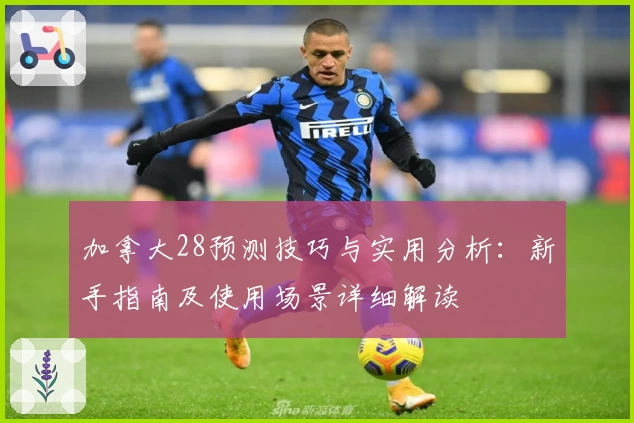 加拿大28预测技巧与实用分析：新手指南及使用场景详细解读