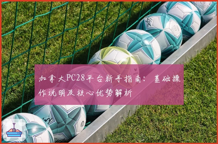 加拿大PC28平台新手指南：基础操作说明及核心优势解析