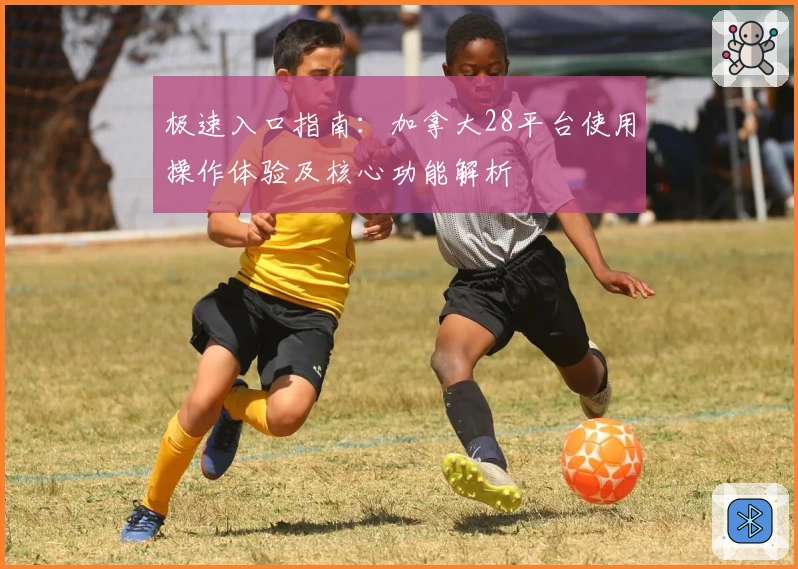 极速入口指南：加拿大28平台使用操作体验及核心功能解析
